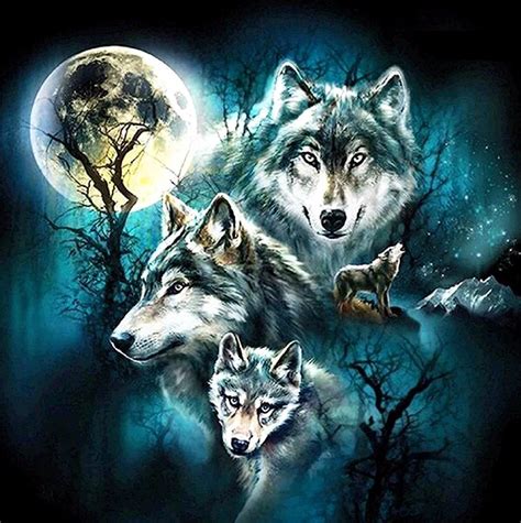 Night Wolves betsul